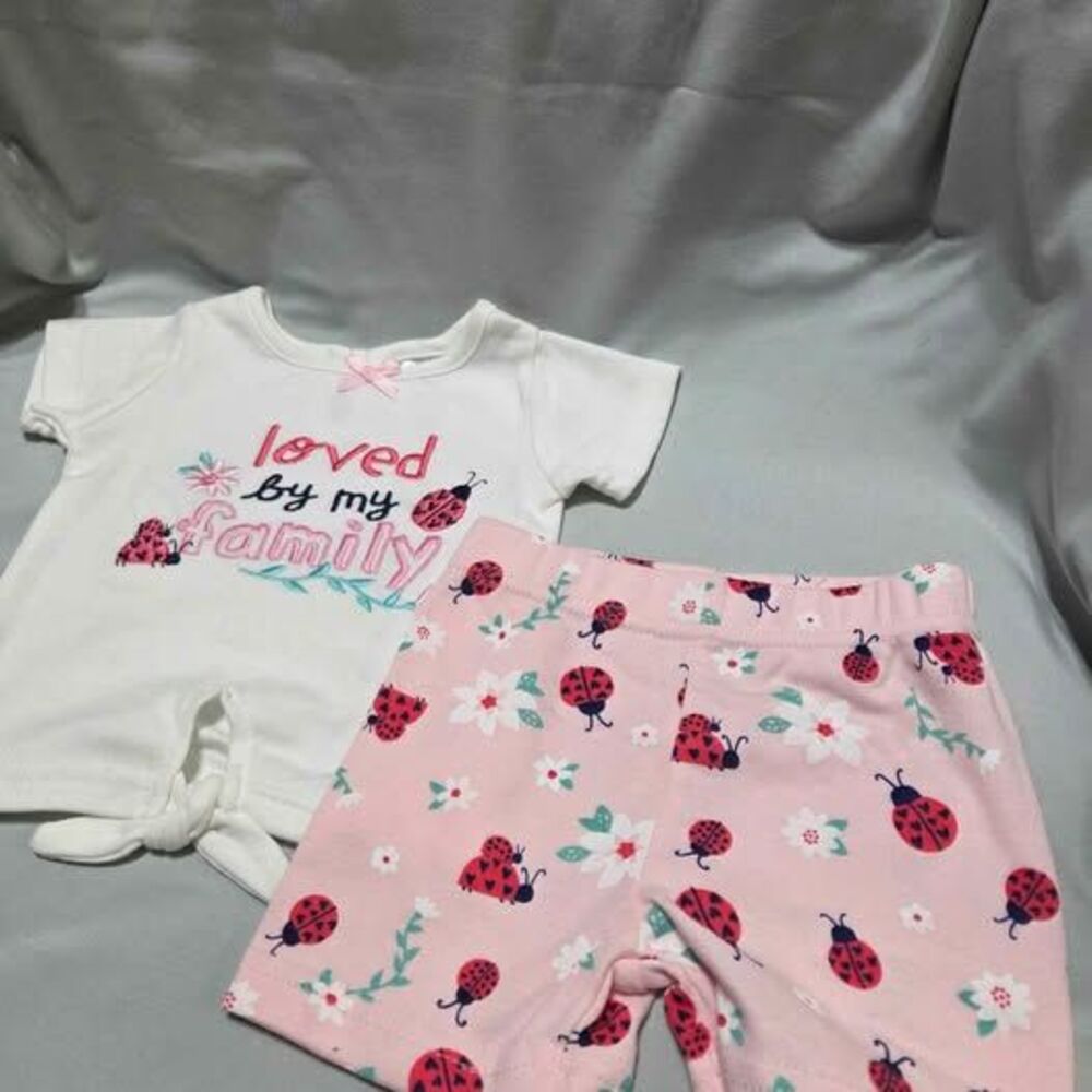 Little Beginnings girls 0-3 months embroidered shirt/short set ladybug flowers